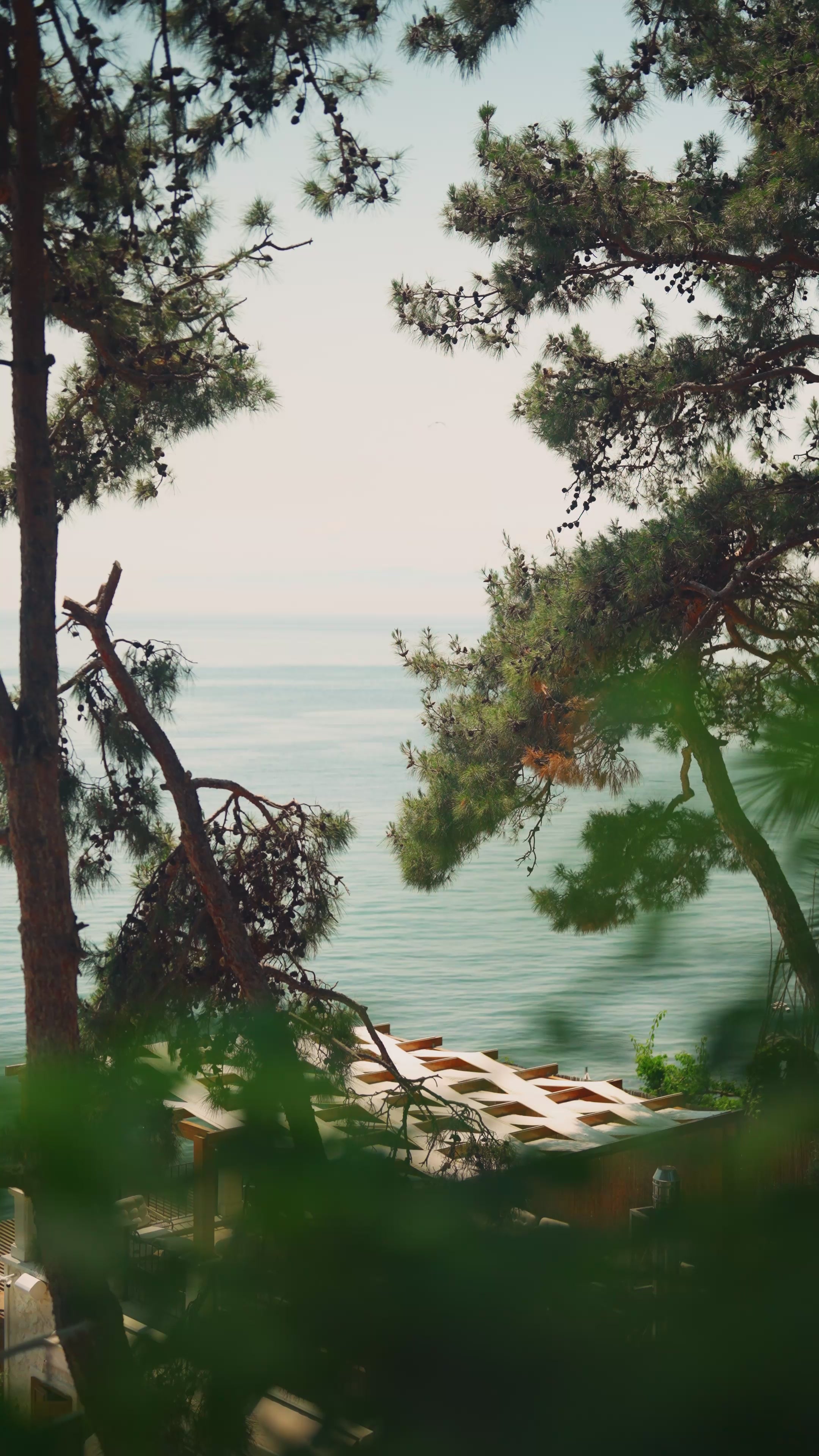 Golden Hour Glow Bronzer